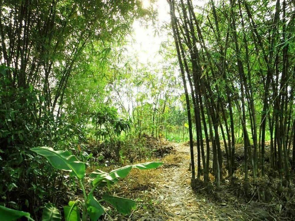 Green Village Homestay Can Tho Exterior photo